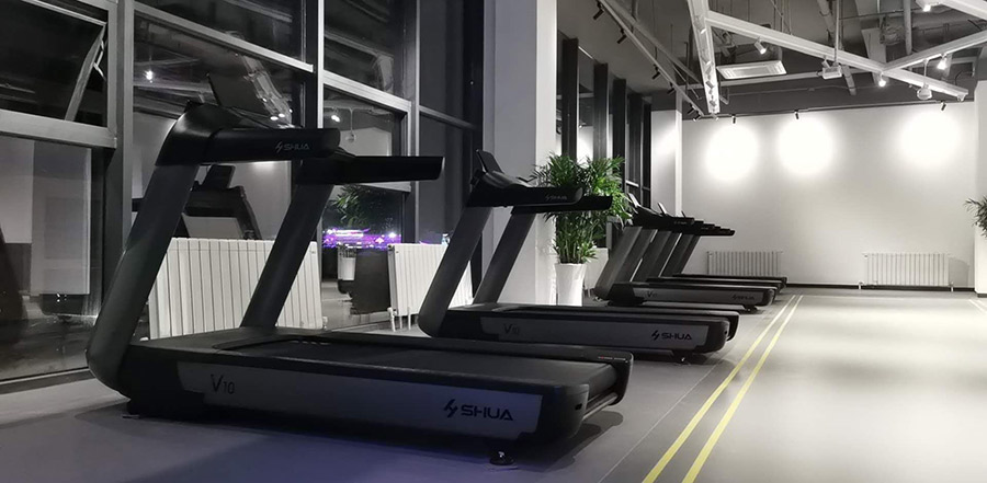 vsport体育官方网站图片