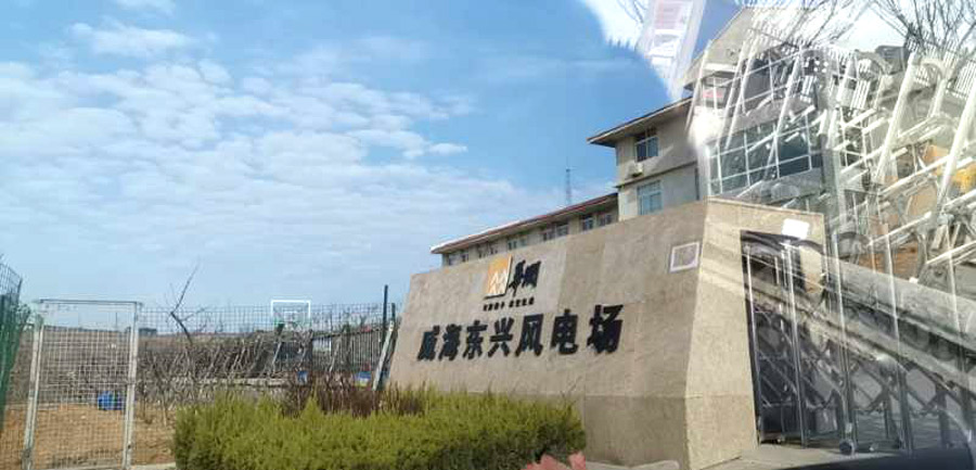 vsport体育官方网站图片