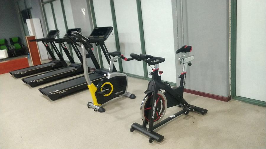 vsport体育官方网站图片