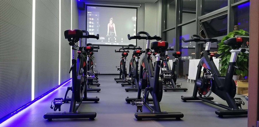 vsport体育官方网站图片