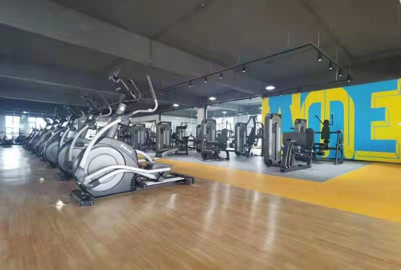 vsport体育官方网站图片