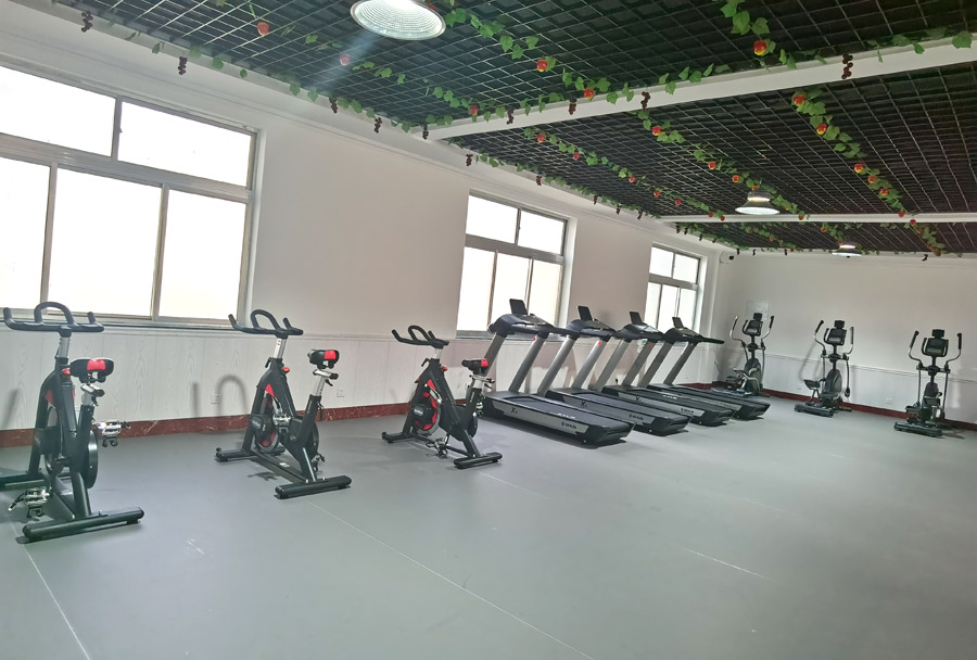 vsport体育官方网站图片