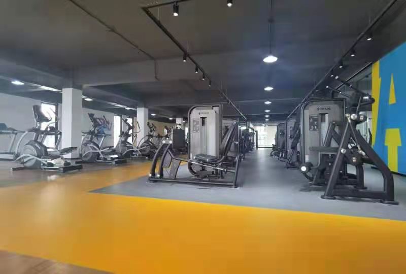 vsport体育官方网站图片