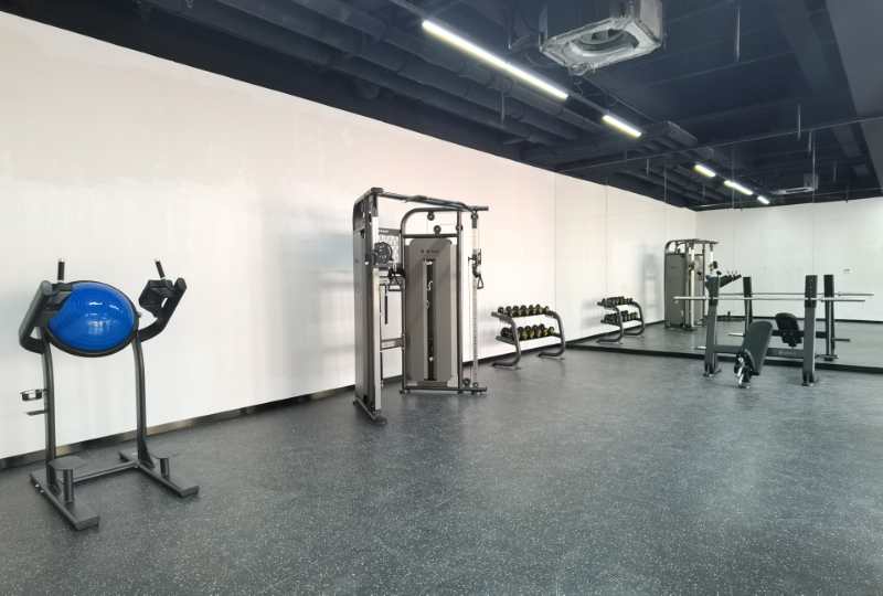 vsport体育官方网站图片