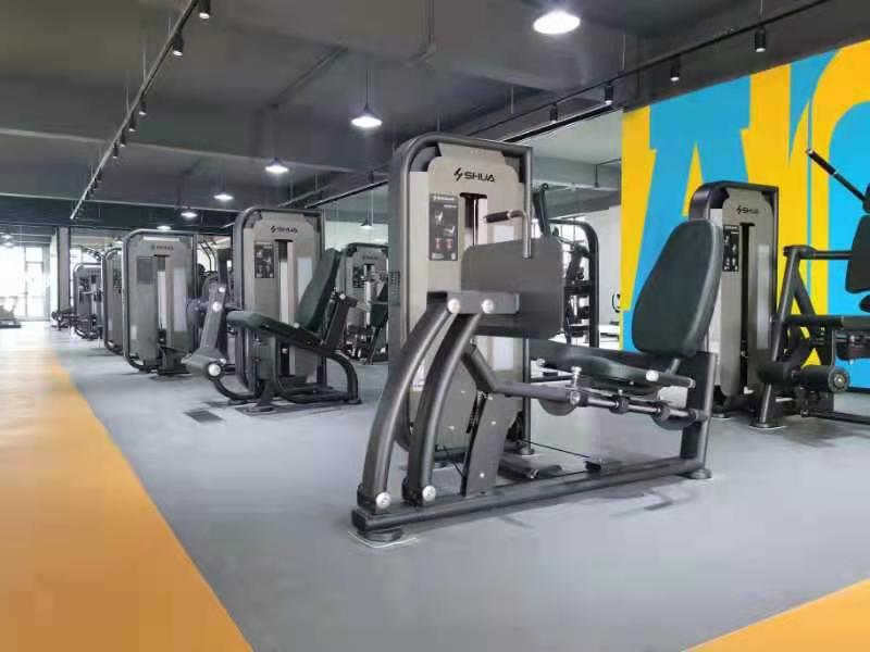 vsport体育官方网站图片
