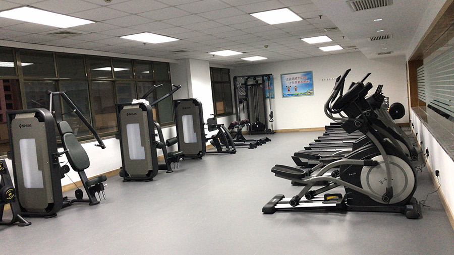 vsport体育官方网站图片
