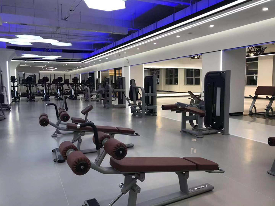 vsport体育官方网站图片
