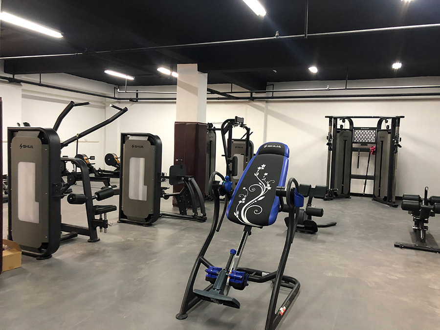 vsport体育官方网站图片