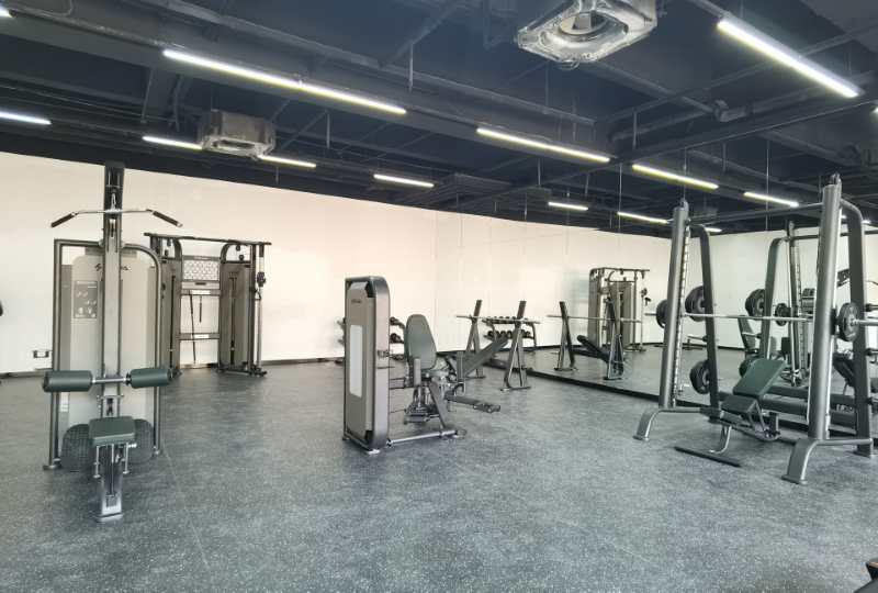 vsport体育官方网站图片