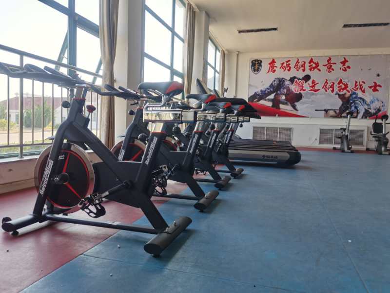 vsport体育官方网站图片