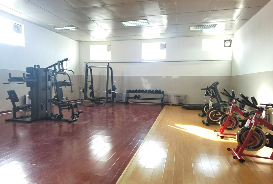 vsport体育官方网站图片