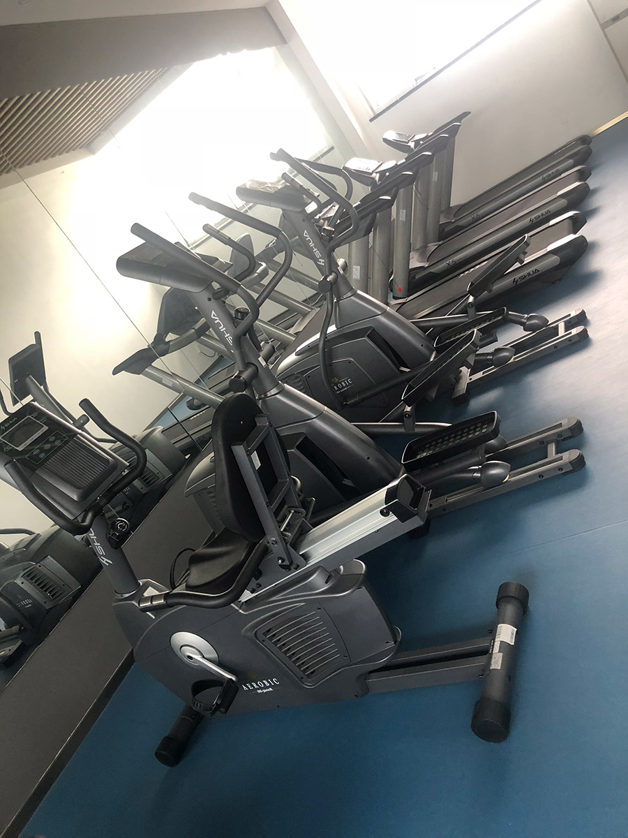 vsport体育官方网站图片