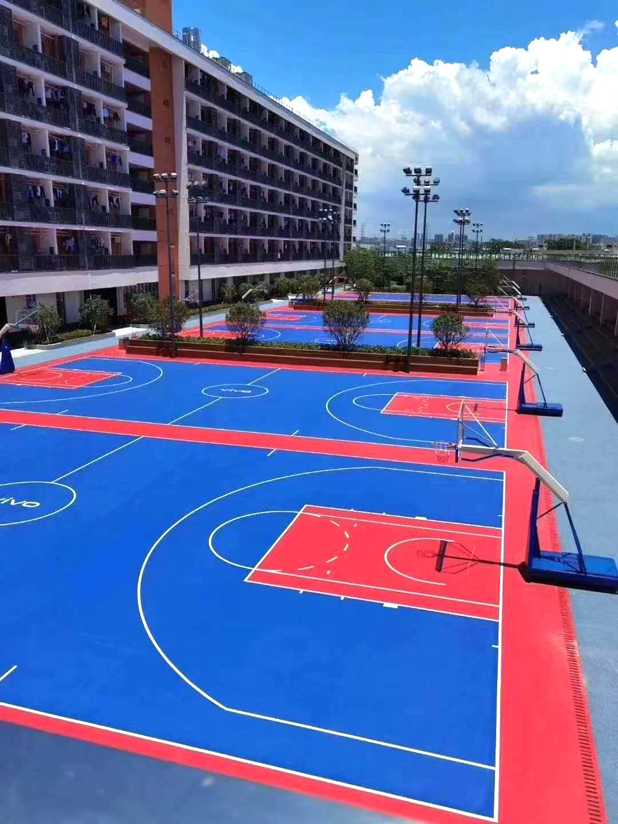vsport体育官方网站图片